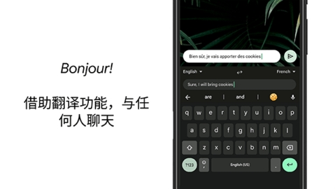 谷歌拼音输入法图4