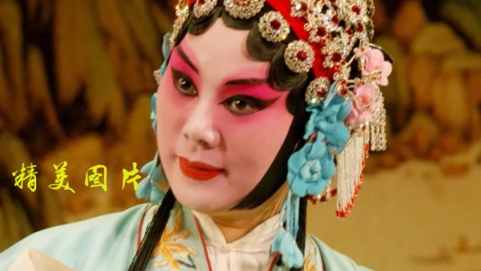 豫剧迷安卓直装版图5