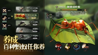 小小蚁国游戏(3)