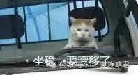 《三谋》S11先锋服最新情报！新武将金韬略登场，孟获与祝融夫人开荒表现亮眼，强度远超预期，或将成为新一代开荒热门