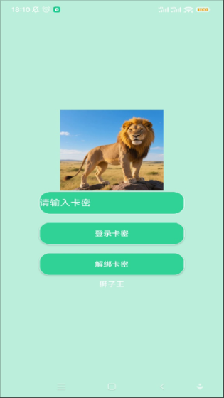 狮子王直装