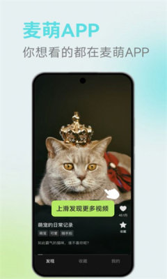 麦萌短剧最新版图1