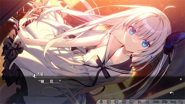 GINKA图4