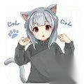 冷月白狐游戏宝盒