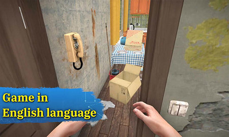 houseflipper2(4)