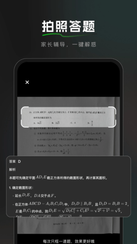 BajoSeek(1)