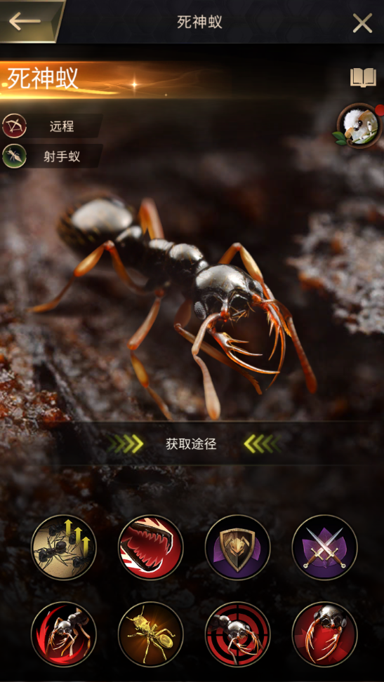 小小蚁国特化蚁实力排名细数顶尖特化蚁前三甲