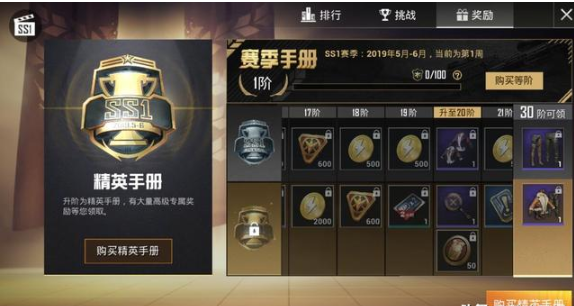和平精英精英手册实用技巧：等级达到240级后，解锁的奖励全是皮肤！