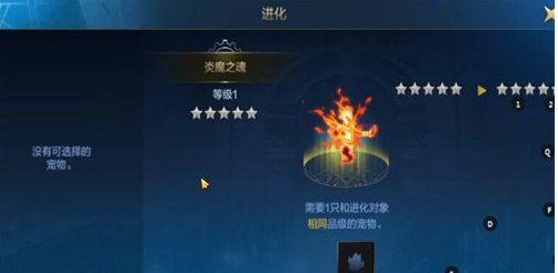 DNF手游宠物进化的具体方法地下城与勇士手游中宠物进化的操作步骤