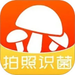 菌窝子手机最新版