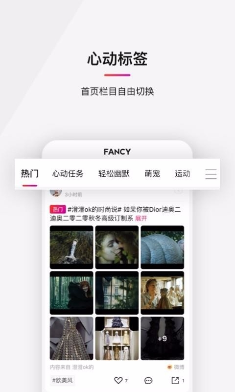 Fancy