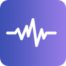 终极变声器正版