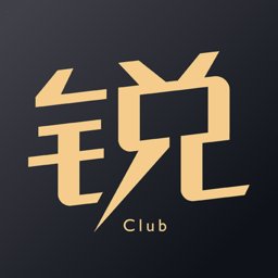 锐胜汽车
