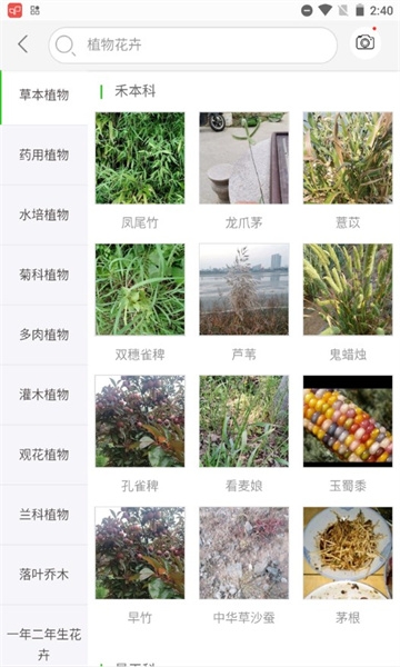 识万物扫一扫