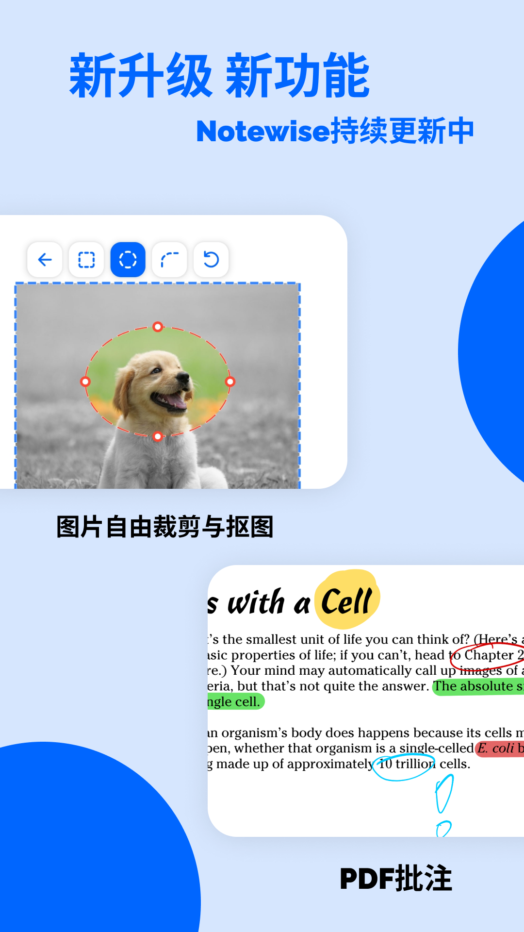 Notewise手机最新版图3