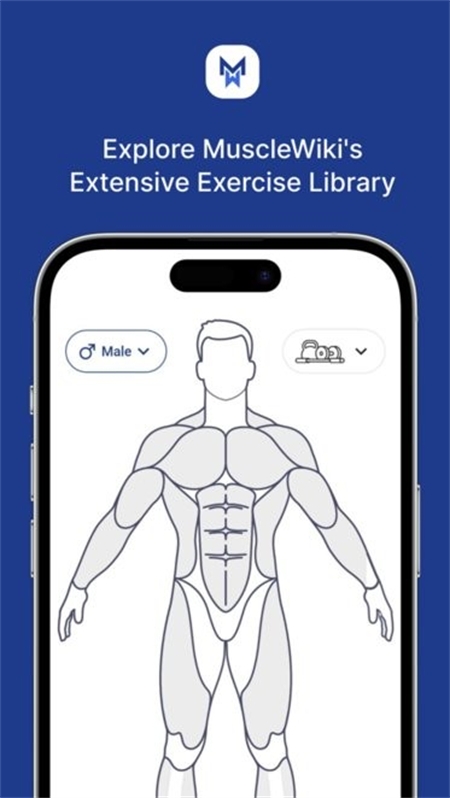 MuscleWiki中文版截图3