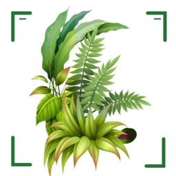 识万物扫一扫软件最新版