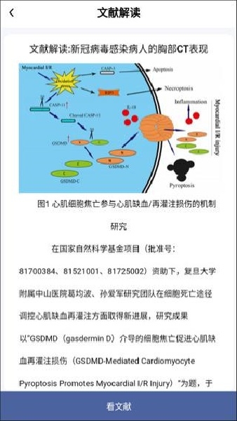 pubmed汉化版图2