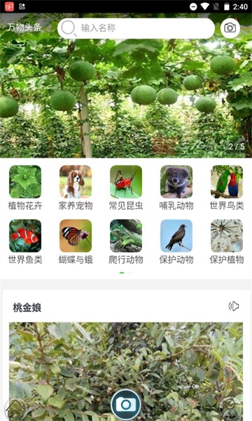 识万物扫一扫