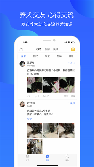 犬卫士安卓版