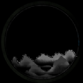 觅知视频官方最新版 V2.0.2