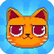 疯狂破坏猫
