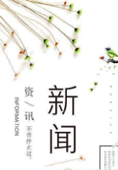 YoYo资讯官方版图2