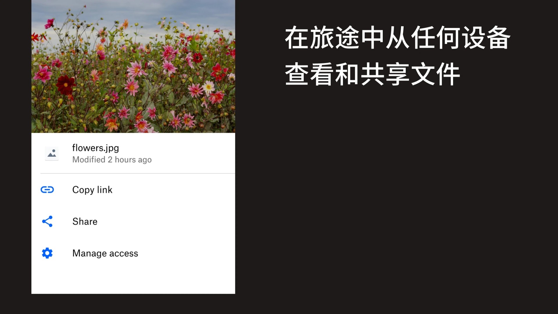 Dropbox手机正版图3
