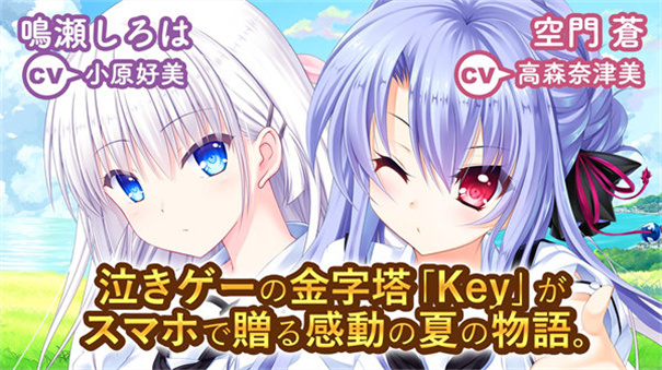 夏日口袋(4)
