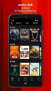 奈飞（Netflix）图1