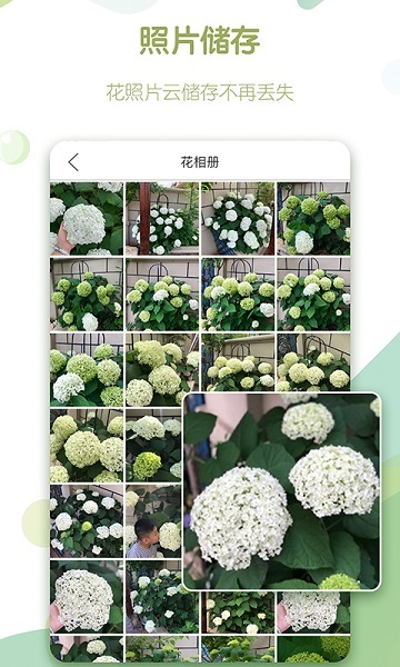绿手指官方版图2