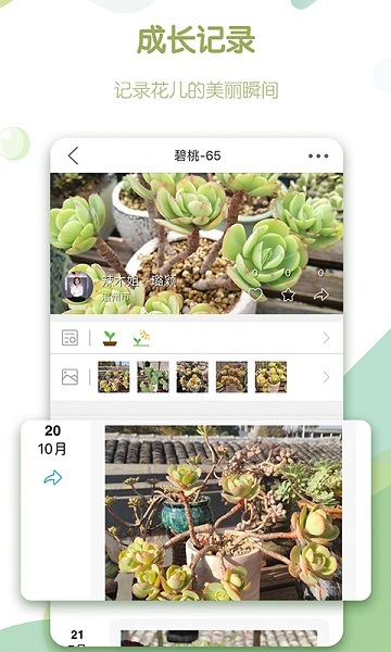 绿手指官方版图3