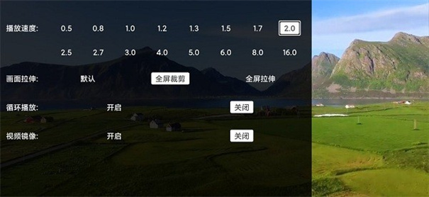 AlookDLNA手机正版(2)