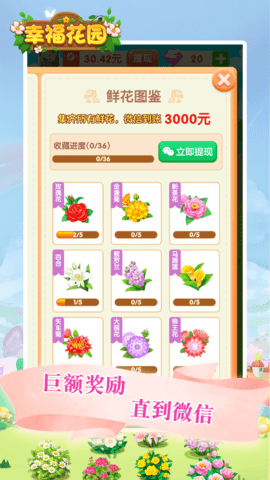 幸福花园游戏最新版图4