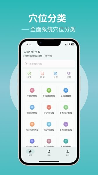 人体穴位图解图4