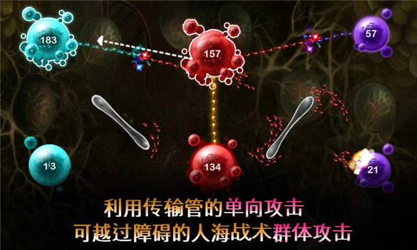 繁殖战争2手游版图2