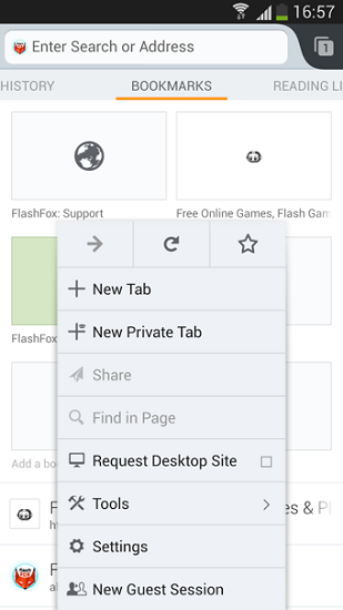 flashfox图3