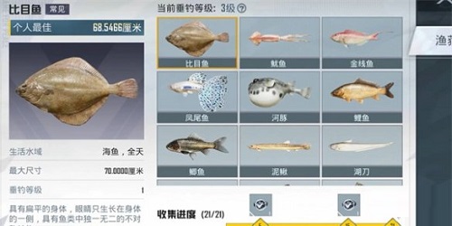 和平精英里垂钓等级该如何提升？有哪些提升和平精英垂钓等级的攻略呢