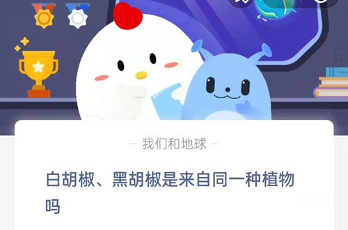 白胡椒和黑胡椒是否源自同一种植物呢？支付宝蚂蚁庄园9月16日的答案是什么