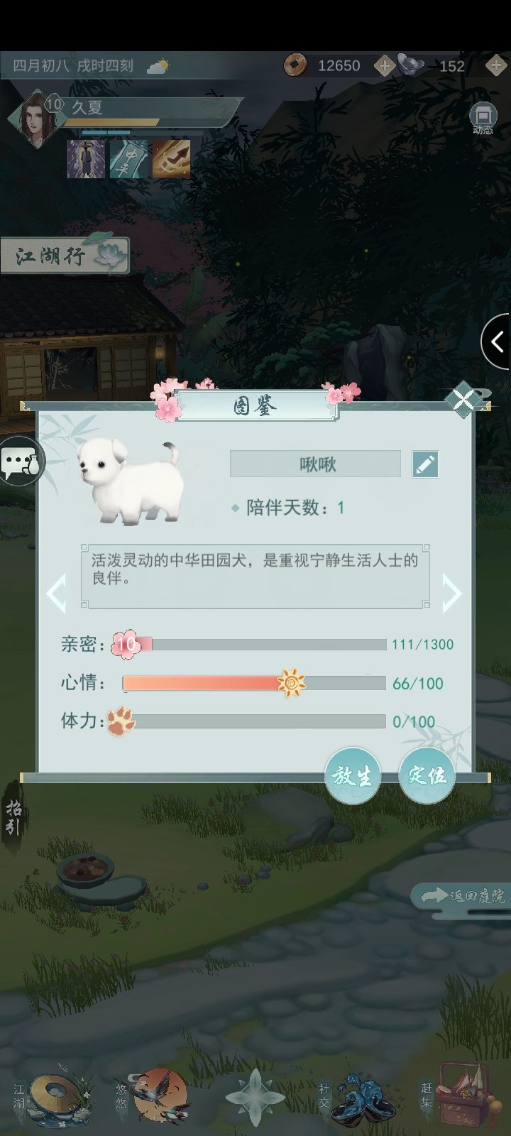 江湖悠悠里宠物如何进行寻宝？江湖悠悠宠物寻宝的方法指南
