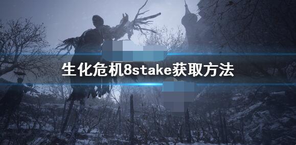 生化危机8中stake马格南的获取方法是什么生化危机8里马格南该如何取得