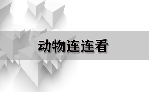动物连连看全收录-动物连连看哪款更出色