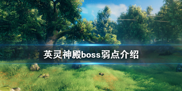 英灵神殿里各个boss都有什么弱点呢？这里为你介绍英灵神殿boss的弱点信息