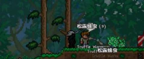 泰拉瑞亚里松露虫有什么快速捕捉的办法？分享几个泰拉瑞亚松露虫快速捕捉的实用技巧