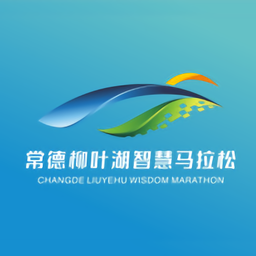 智慧德马安卓直装版