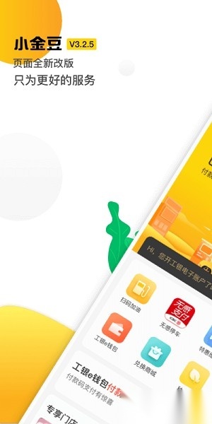 小金豆图1