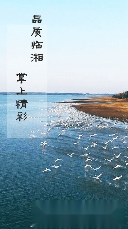 品质临湘客户端2026最新版图5