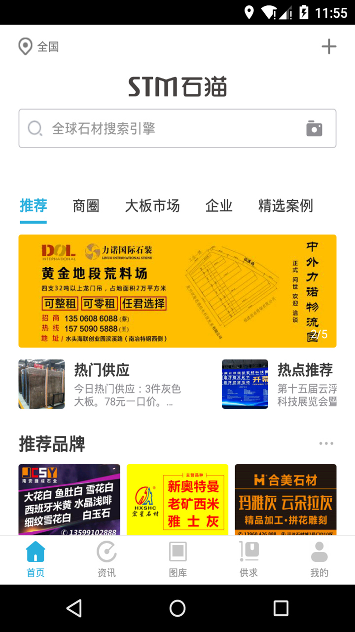 石猫图1