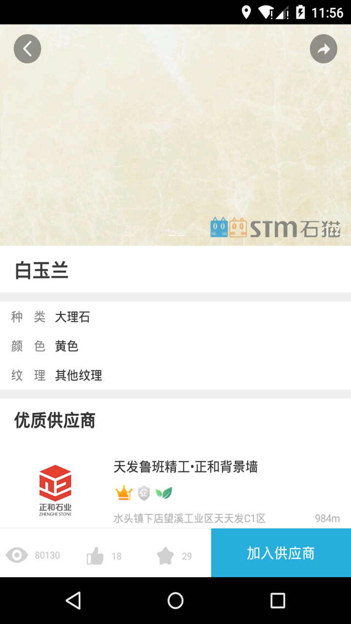 石猫图5