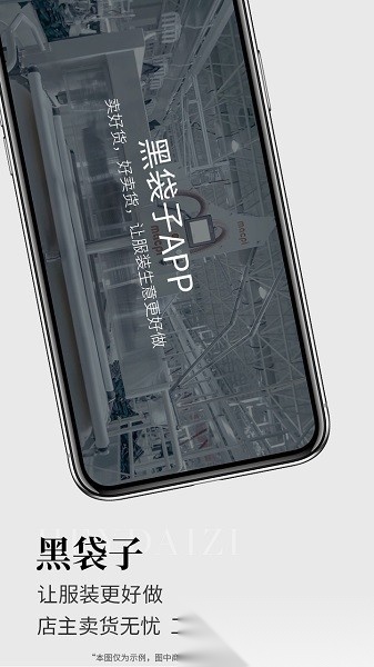 黑袋子免费原版图3